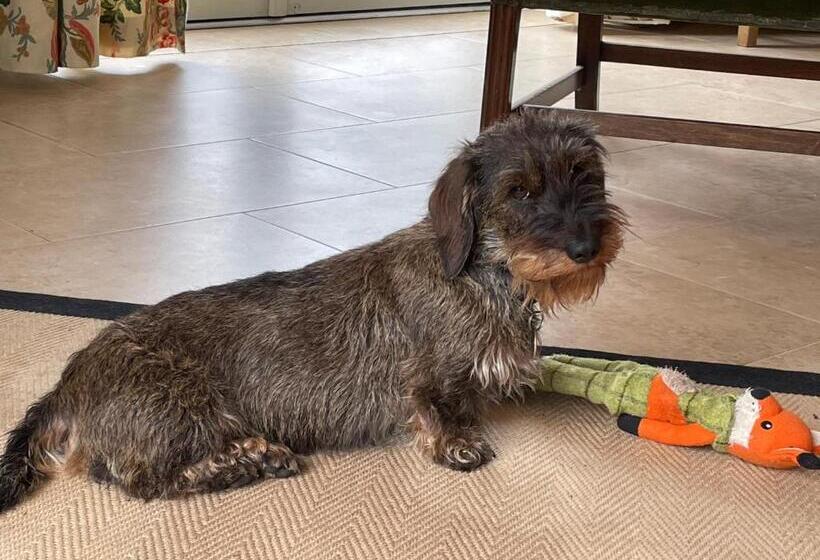 مبيت وإفطار Field End House Strawberry Lane Meysey Hampton