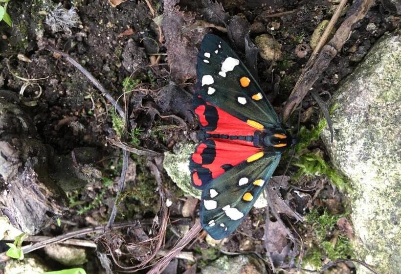 مبيت وإفطار Field End House Strawberry Lane Meysey Hampton