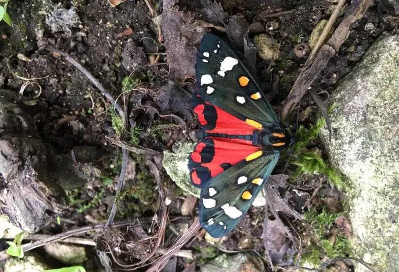 Aamiaismajoitus (B&B) Field End House Strawberry Lane Meysey Hampton