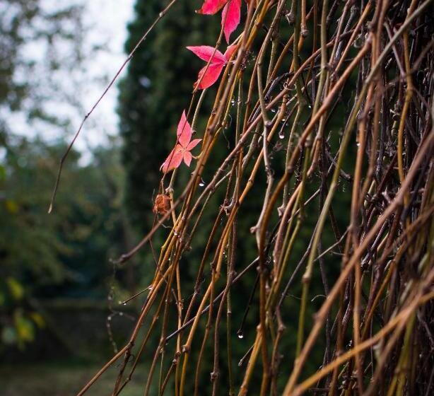 مبيت وإفطار Field End House Strawberry Lane Meysey Hampton