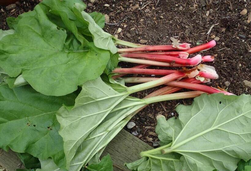 مبيت وإفطار Field End House Strawberry Lane Meysey Hampton