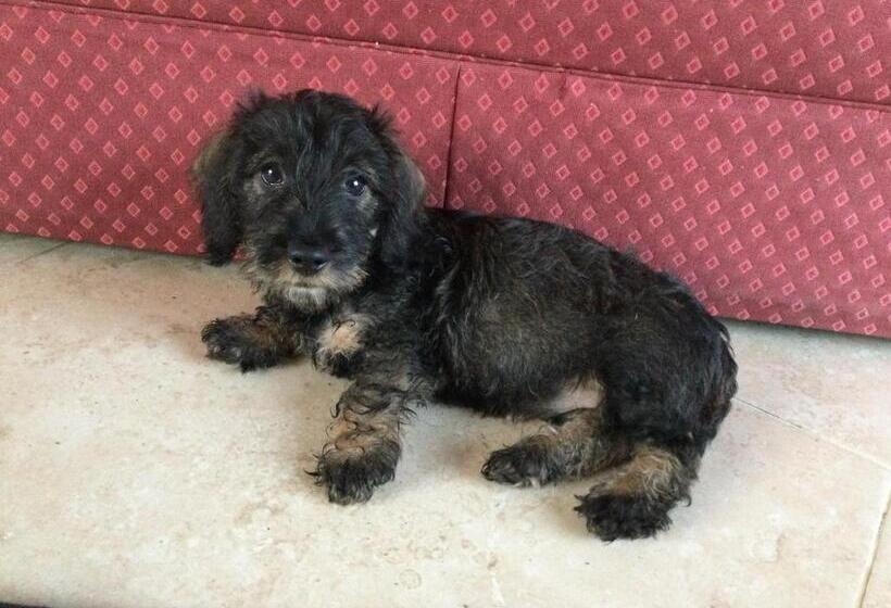 مبيت وإفطار Field End House Strawberry Lane Meysey Hampton