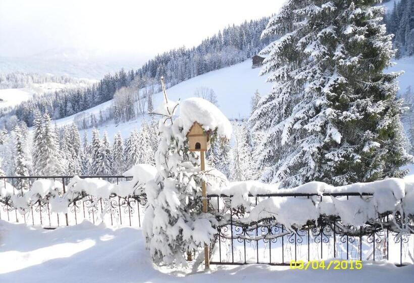 مبيت وإفطار Vorderwiesgut