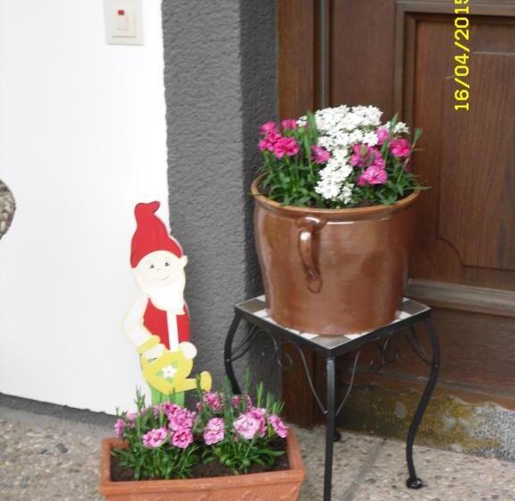 مبيت وإفطار Vorderwiesgut