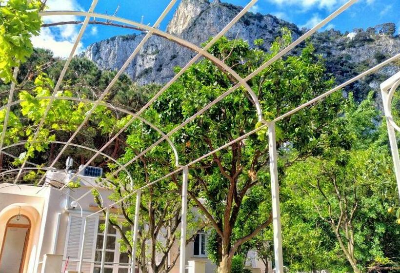 Pensjonat Don Raffaé