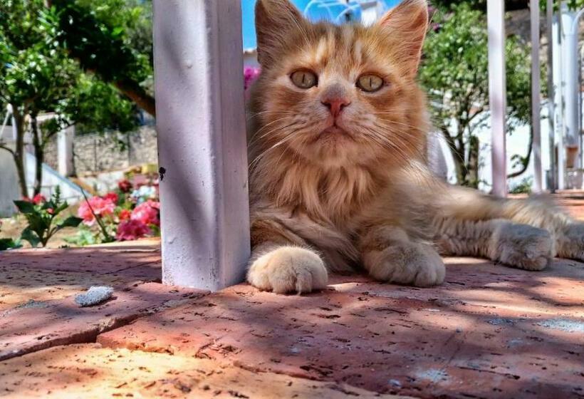 Pensjonat Don Raffaé