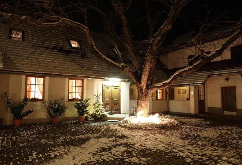 פנסיון Ferienwohnung Michlwirt