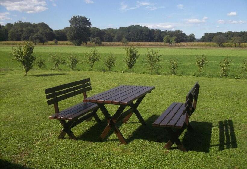 פנסיון Ferienwohnung Michlwirt