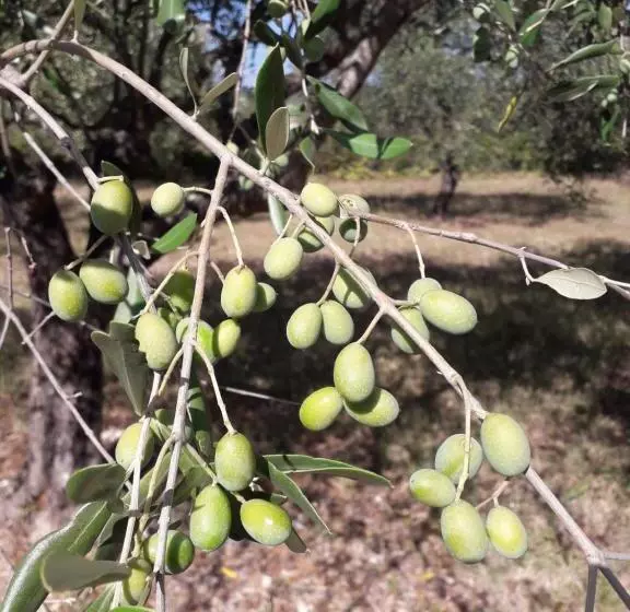 Majatalo Une Nuit Au Village   Chambre D Hôtes De Charme