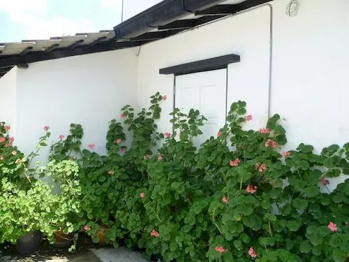 ホテル Country Lodge Resort