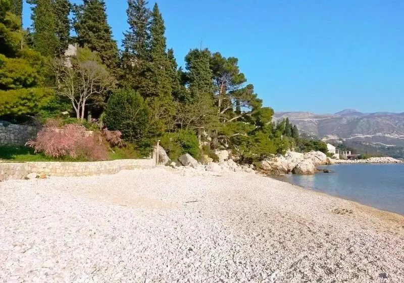 Отель House Kata