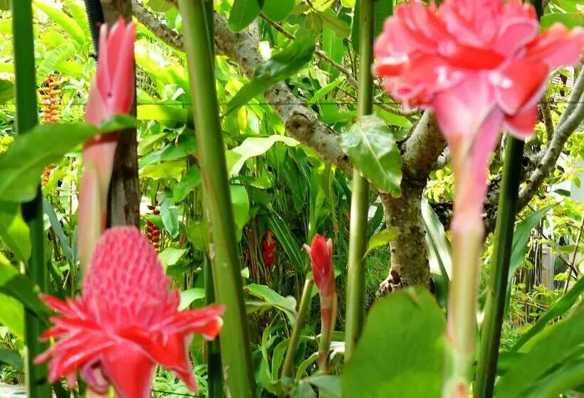 فندق Mealea Resort