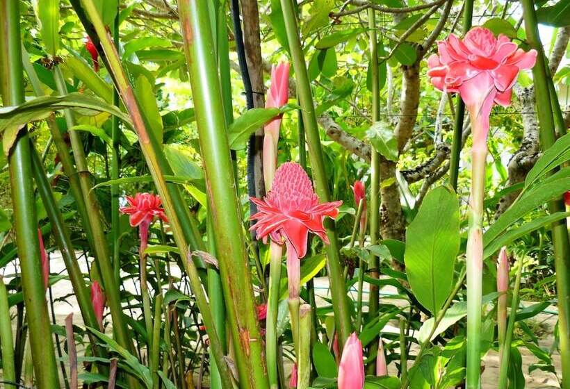 فندق Mealea Resort