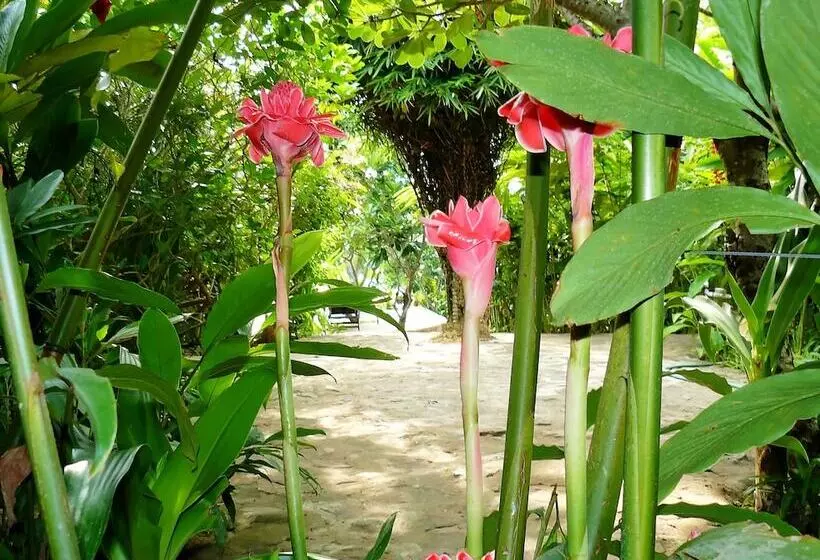 فندق Mealea Resort