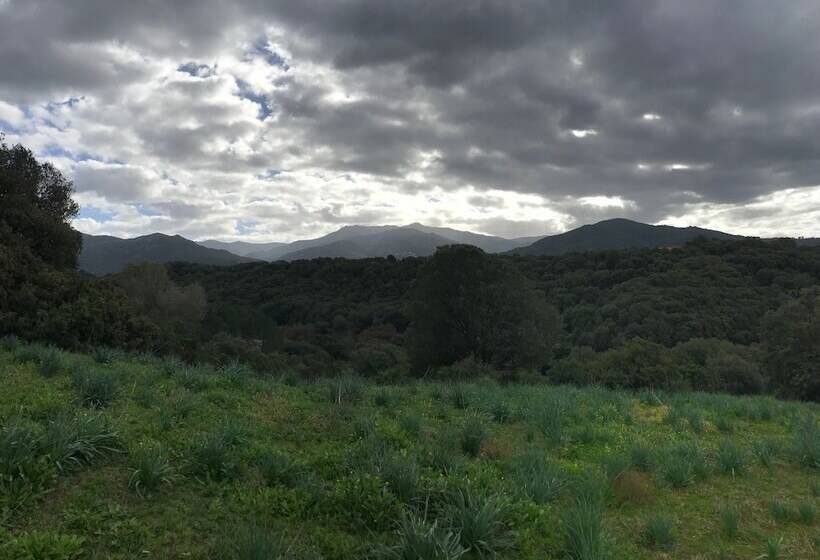 Отель & Appartements Acqua Dolce