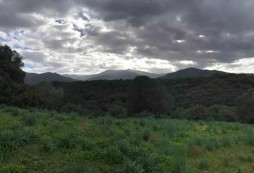 ホテル & Appartements Acqua Dolce