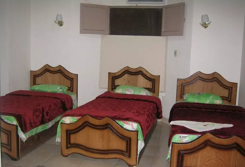 Hotel Great Alexander Hostel