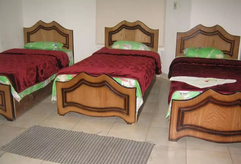 Hotel Great Alexander Hostel