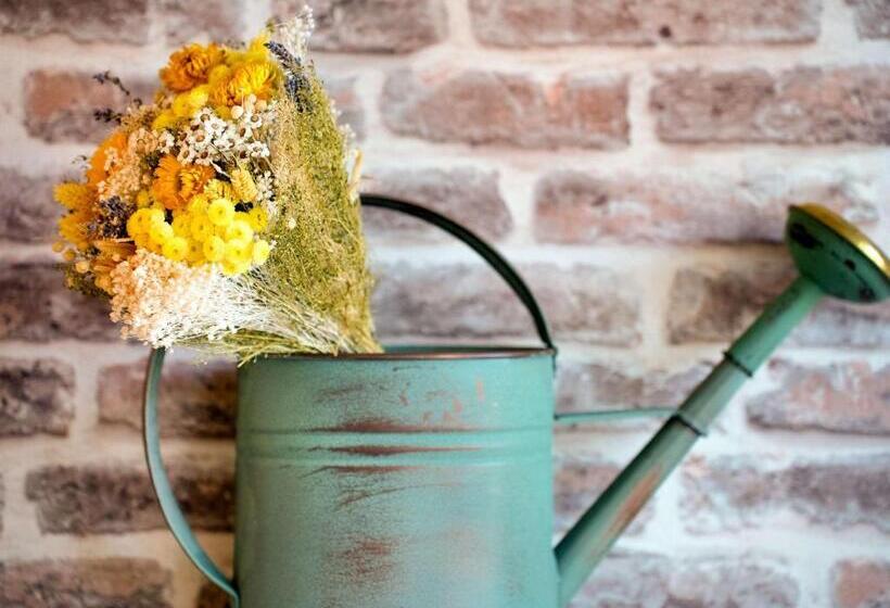 هتل Ibis Styles Chatenay Malabry Paris Sud