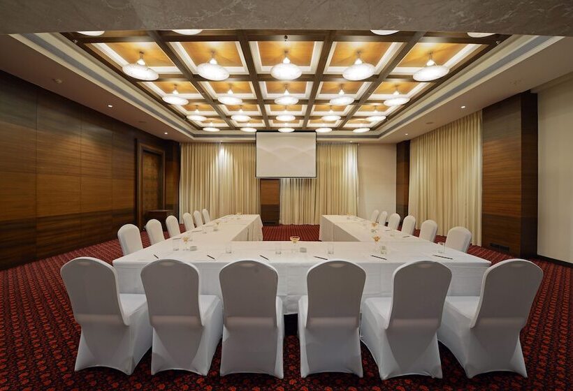 Radisson Blu Hotel Ahmedabad