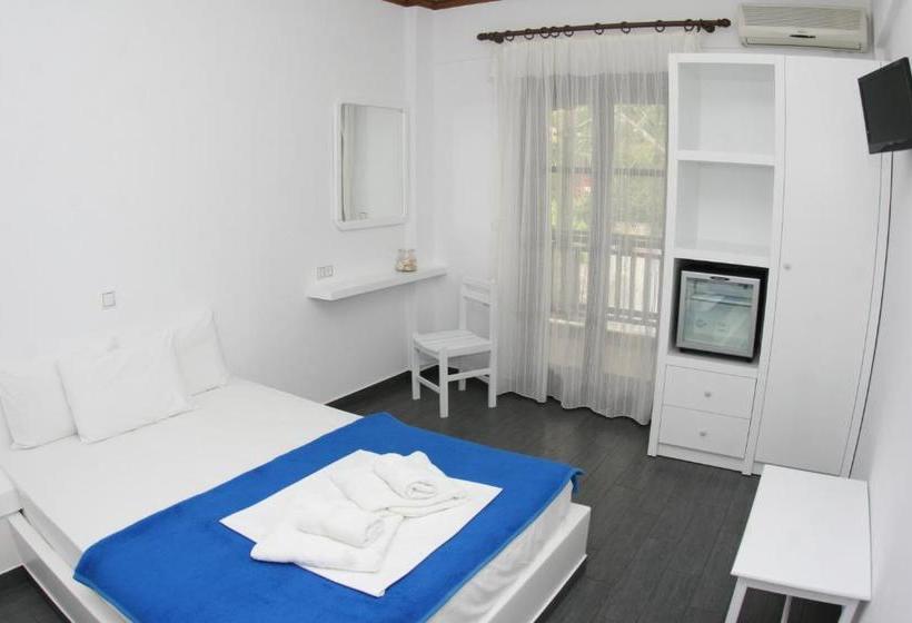 Отель Theopisti