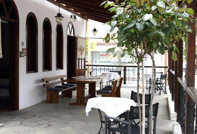 Отель Theopisti