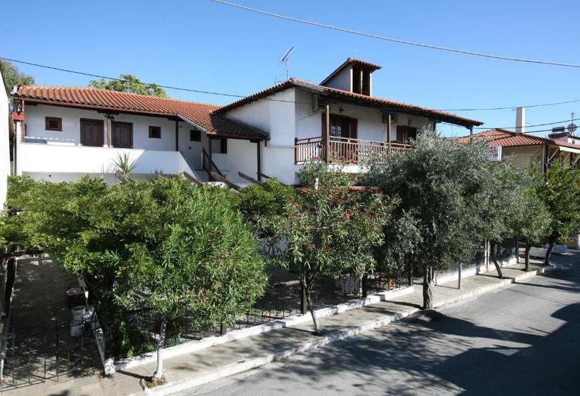 Отель Theopisti