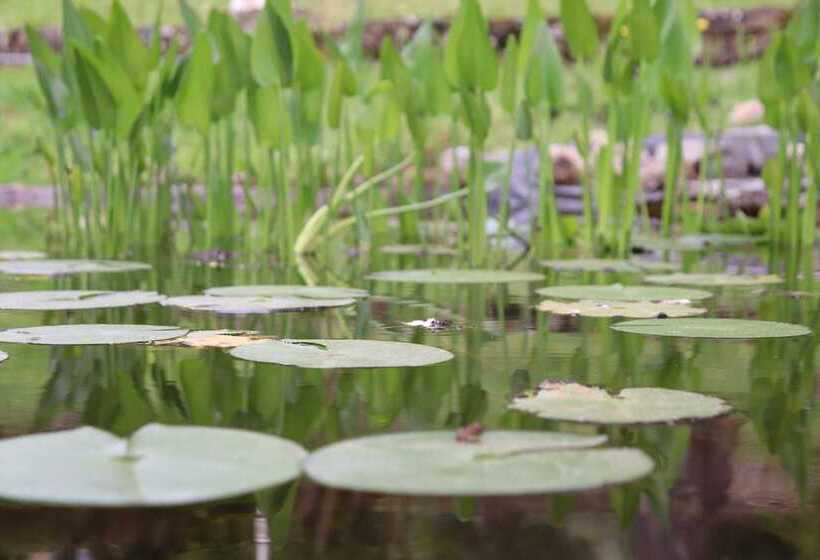 اقامتگاه Résidence U Pirellu