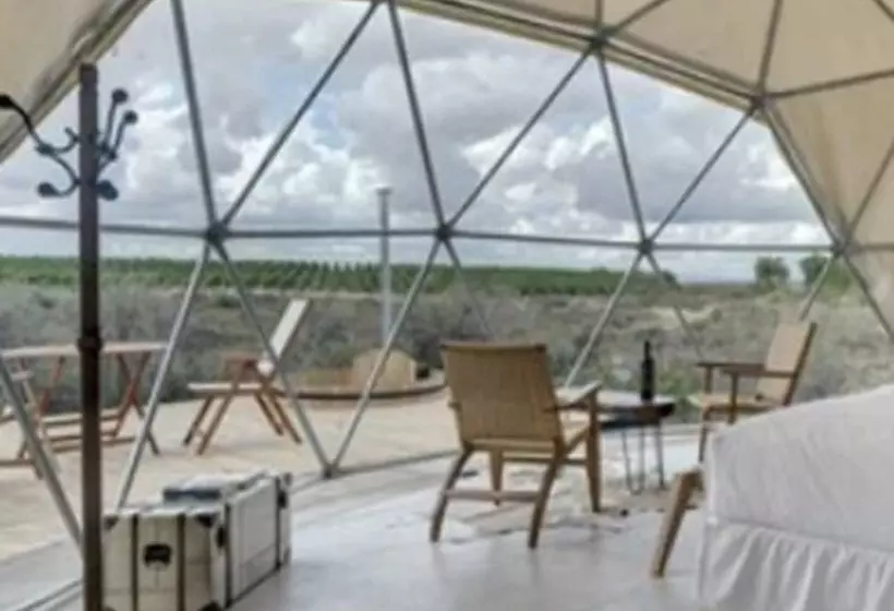 فندق Alpasion Lodge