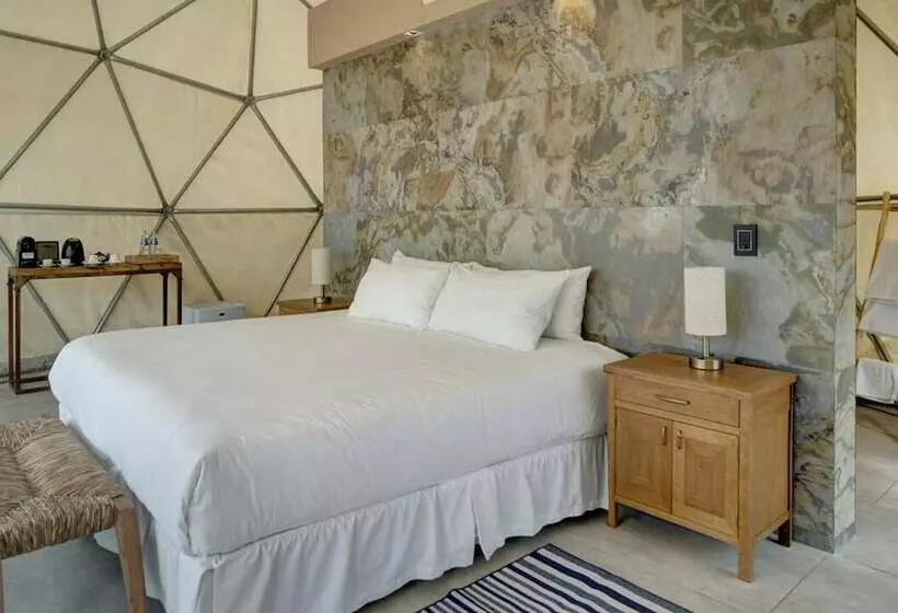 فندق Alpasion Lodge