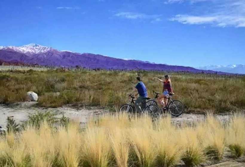 فندق Alpasion Lodge