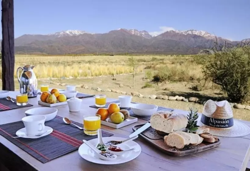 فندق Alpasion Lodge