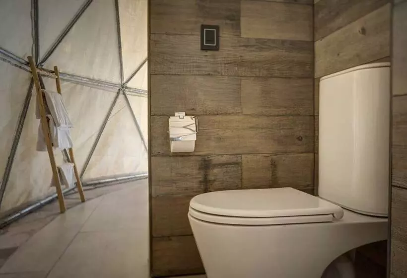 فندق Alpasion Lodge