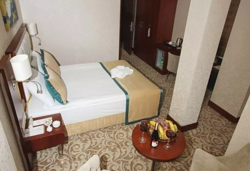 هتل Asrın Business