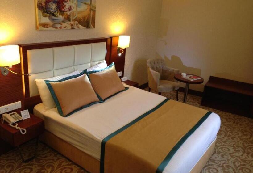 هتل Asrın Business