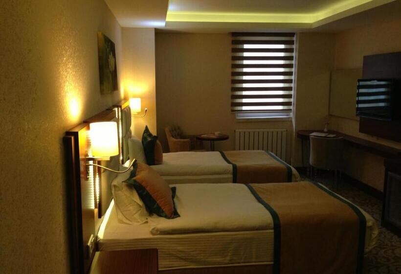 هتل Asrın Business