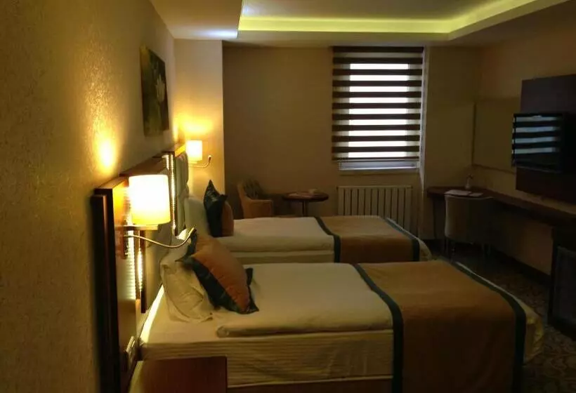 هتل Asrın Business