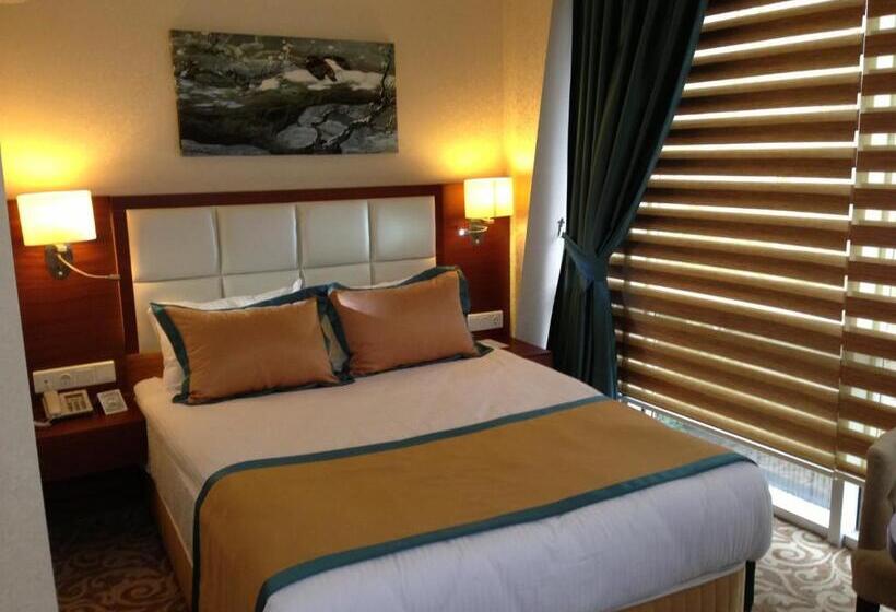 هتل Asrın Business