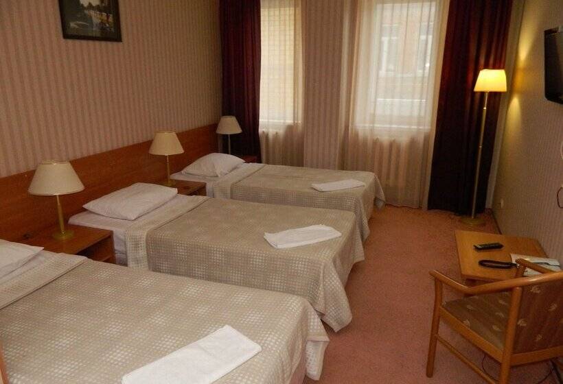 هتل Bogemia Business