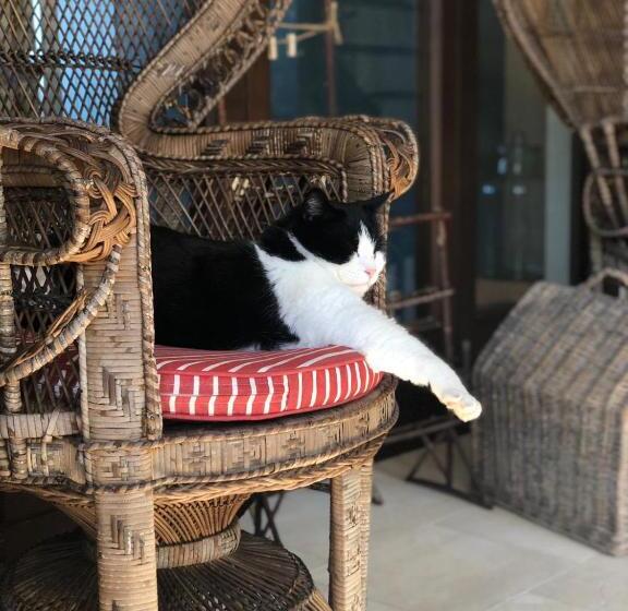 Szálloda Le Capase Resort Salento