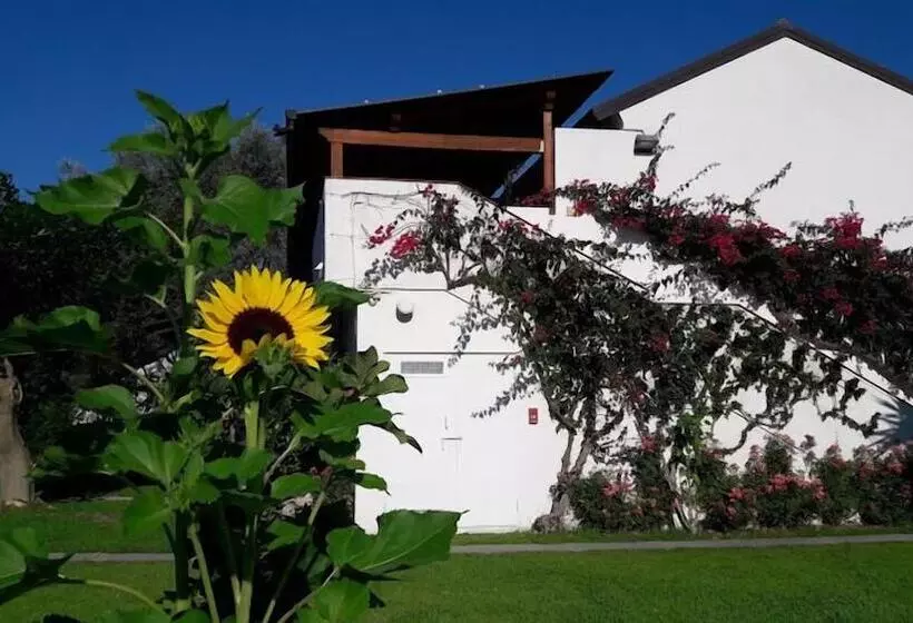 Hotel Nausicaa Village