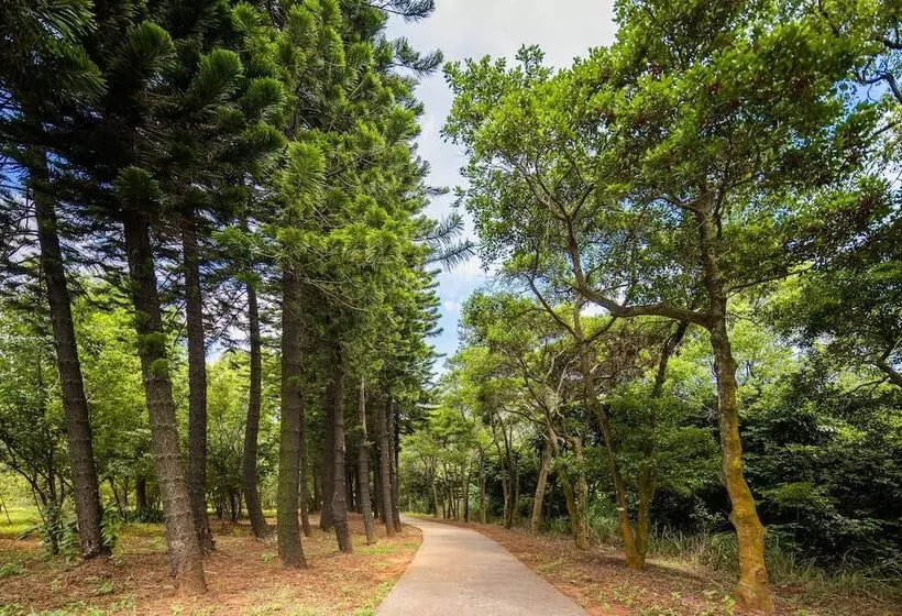 South Garden Hotels And Resorts