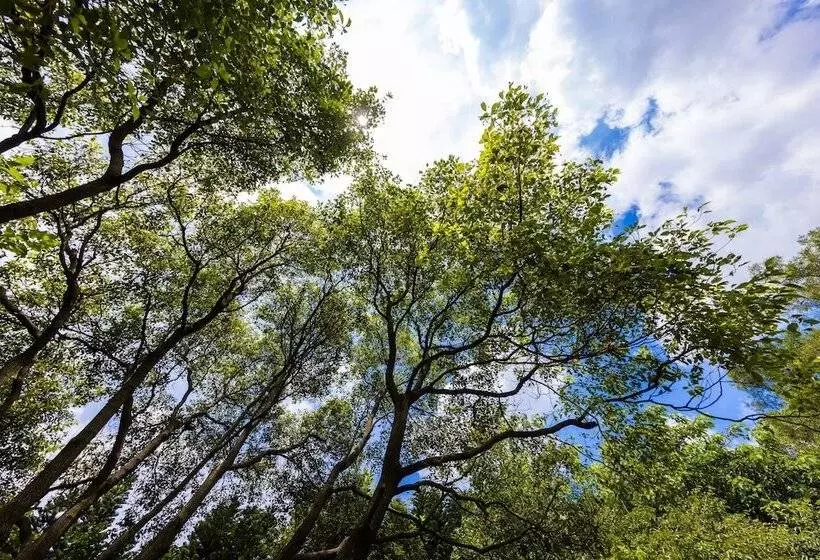 South Garden Hotels And Resorts