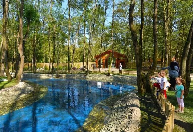 Отель Wellborn Luxury