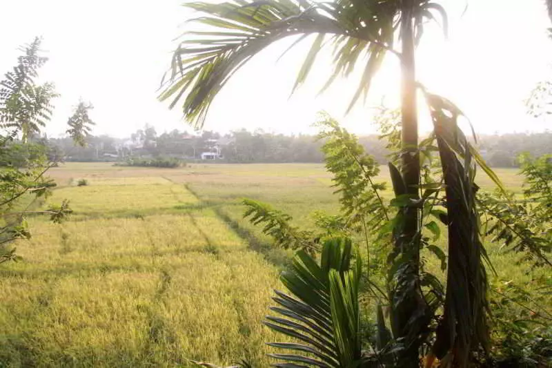 Hotel Zeppelin Eco Cabins