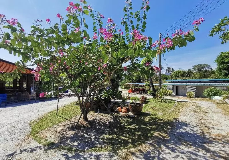 هتل Viman Resort