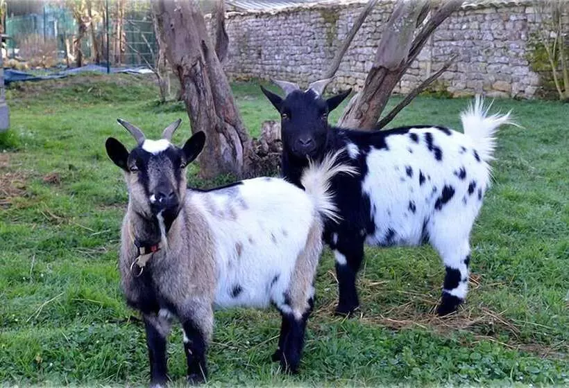 Majatalo Jardin D Arcy   Chambres D Hôtes Avec Piscine Et Spa