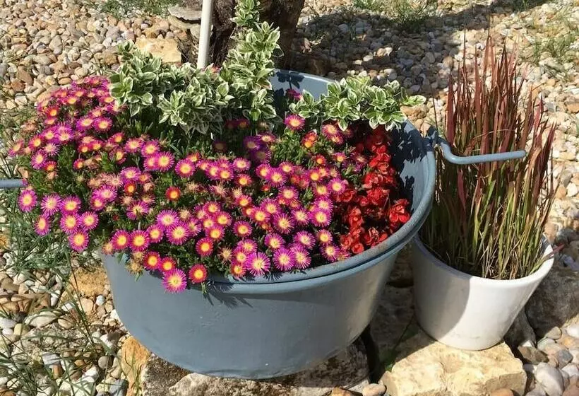 Majatalo Jardin D Arcy   Chambres D Hôtes Avec Piscine Et Spa