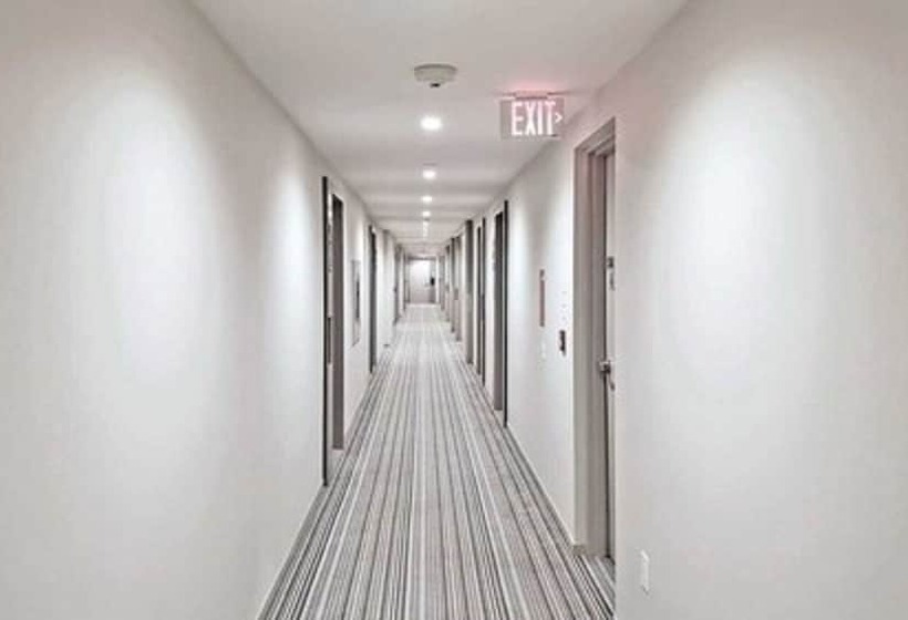 Planurstay   Toronto Downtown