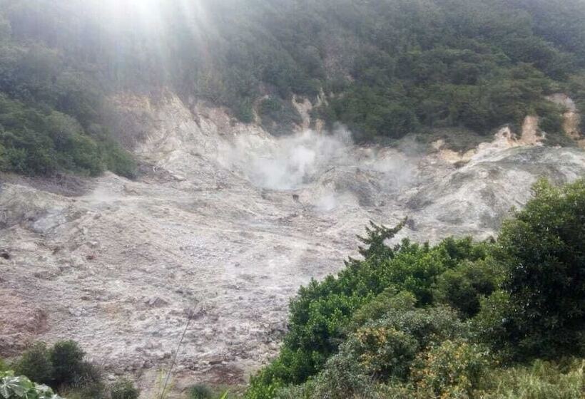 Bay Heights Bed And Breakfast